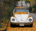 Autumn Leaves On a Car