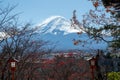 Autumn leaves change color in Kawaguchiko, Japan. Royalty Free Stock Photo