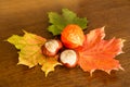 Autumn leaves, chestnut, physalis Royalty Free Stock Photo