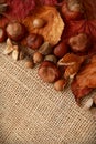Autumn Leaves Chestnuts and Acorns over jute background Royalty Free Stock Photo