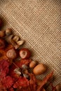 Autumn Leaves Chestnuts and Acorns over jute background Royalty Free Stock Photo