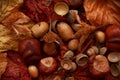 Autumn Leaves Chestnuts and Acorns over jute background Royalty Free Stock Photo