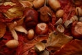 Autumn Leaves Chestnuts and Acorns over jute background Royalty Free Stock Photo