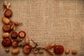 Autumn Leaves Chestnuts and Acorns over jute background Royalty Free Stock Photo