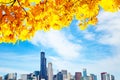 Autumn leaves and Chicago waterfront lake skyline Royalty Free Stock Photo