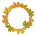 Autumn leaves circle frame background. Colourful maple leaves design Royalty Free Stock Photo