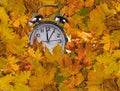 Autumn leaves clock for market background Royalty Free Stock Photo