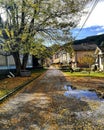 Autumn leaves cloudy Street fall