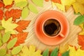 Autumn leaves and coffee cup on wood background.