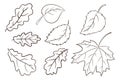 Autumn Leaves Collection. Forest foliage illustration set. Oak, maple and hazel leaf. Autumn decorative elements for Royalty Free Stock Photo