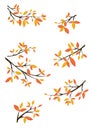 Autumn leaves clipart