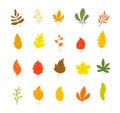 Autumn leaves collection. Tree leaf fall, flat marple yellow orange foliage. Season forest icons, isolated botanical Royalty Free Stock Photo