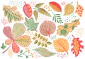 Autumn leaves by color pencil on white background. Falling leaf crayon hand-drawn illustration. Yellow red leaf clipart Royalty Free Stock Photo