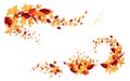 Autumn leaves colorful design elemen