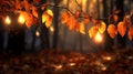 Autumn leaves in autumn colours Royalty Free Stock Photo