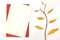Autumn leaves composition paper mockup with copy space. Royalty Free Stock Photo