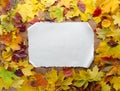 Autumn Leaves Composition with Paper Sheet on Wooden Background Top View Copy Space Royalty Free Stock Photo