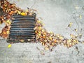 Autumn leaves on concrete floor Royalty Free Stock Photo