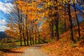 Autumn Leaves on a country road Royalty Free Stock Photo