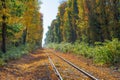 Autumn leaves cover train tracks in New England Royalty Free Stock Photo