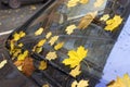 Autumn leaves covered car Royalty Free Stock Photo