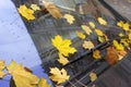 Autumn leaves covered car Royalty Free Stock Photo