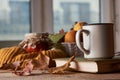 Autumn leaves, cup of coffee, warm scarf, fruits basket and book Royalty Free Stock Photo