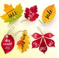 Autumn leaves discount