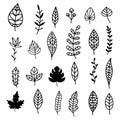 Autumn leaves doodle set, hand drawn vector fall forest foliage
