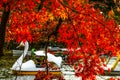 Autumn leaves and duck boat of Inokashira Park Inokashira Park Royalty Free Stock Photo