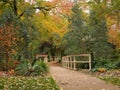 Autumn leaves and earthen pathway in public gardens Bendigo