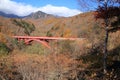 Autumn leaves at East river bridge in Kiyosato