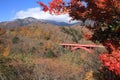 Autumn leaves at East river bridge in Kiyosato
