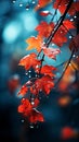 Autumn leaves. Fall colors. Seasonal fallen leaves. Red, orange, gold colorful background wallpaper.