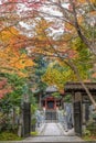 Autumn leaves, Fall foliage and hakkodo at Saisho-kongo-in Temple. Royalty Free Stock Photo