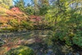 Autumn leaves Fall foliage and sky reflections at Tenjuan Temple pond Garden. Royalty Free Stock Photo