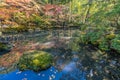 Autumn leaves Fall foliage at Tenjuan Temple pond Garden. Subtemple of Nanzenji.