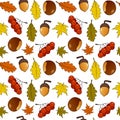 Autumn Leaves Fall Fruits Seamless Pattern Royalty Free Stock Photo
