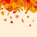 Autumn leaves fall isolated background. Golden autumn poster template. Vector illustration eps10 Royalty Free Stock Photo