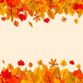 Autumn leaves fall isolated background. Golden autumn poster template. Vector illustration Royalty Free Stock Photo