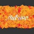 Autumn leaves fall isolated background. Golden autumn poster template. Vector illustration Royalty Free Stock Photo