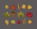 Autumn Leaves Fall Leaf Collection on dark background Royalty Free Stock Photo