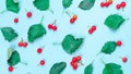 Autumn leaves fall. Nature pattern: dry leaves, green leafs, red fruits Rowans isolated on pastel blue background. Creative Top Royalty Free Stock Photo