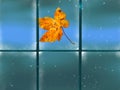 Autumn leaves fall on window frame glass  background  rainy season raindrops blurred city night light reflection Royalty Free Stock Photo