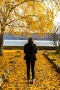 Autumn leaves fallen on alone woman walking on the autumn alley