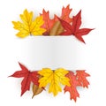 Autumn leaves fallen leaves background vector illustration