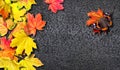 Autumn leaves. Fallen autumn maple leaves on asphalt. copy spaces. Royalty Free Stock Photo