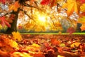 Autumn leaves falling on the ground in a park Royalty Free Stock Photo