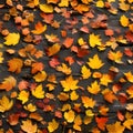 1280 Autumn Leaves Falling: A serene and autumnal background featuring falling autumn leaves in warm and vibrant colors, capturi