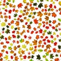 Autumn leaves falling. Yellow red, orange leaf isolated on white. Colorful maple seamless pattern foliage. Season leaves fall Royalty Free Stock Photo